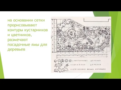 на основании сетки прорисовывают контуры кустарников и цветников, размечают посадочные ямы для деревьев