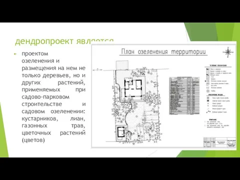 дендропроект является проектом озеленения и размещения на нем не только деревьев,