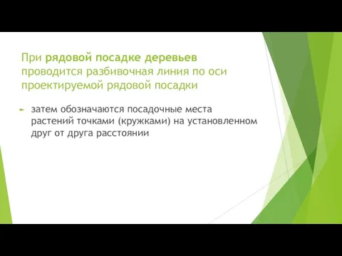 При рядовой посадке деревьев проводится разбивочная линия по оси проектируемой рядовой