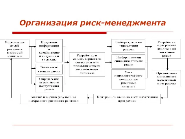 Организация риск-менеджмента