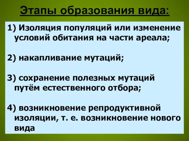 Этапы образования вида: 1) Изоляция популяций или изменение условий обитания на