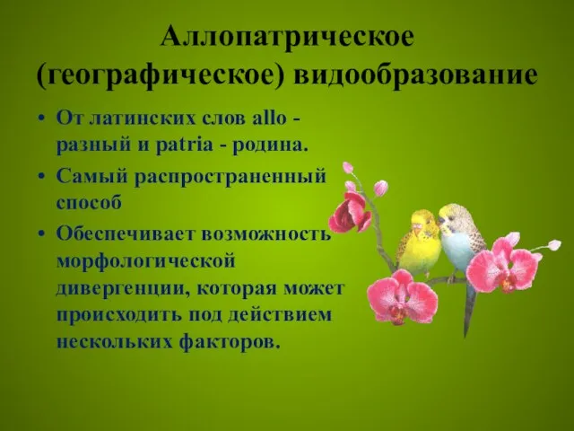 Аллопатрическое (географическое) видообразование От латинских слов allo - разный и patria