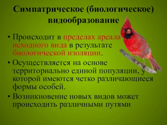 Симпатрическое (биологическое) видообразование Происходит в пределах ареала исходного вида в результате