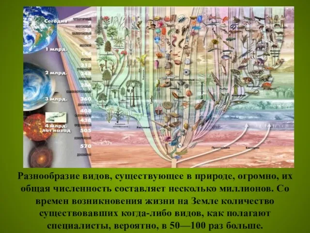 Разнообразие видов, существующее в природе, огромно, их общая численность составляет несколько