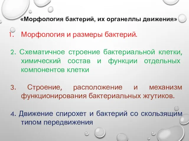 «Морфология бактерий, их органеллы движения» Морфология и размеры бактерий. 2. Схематичное