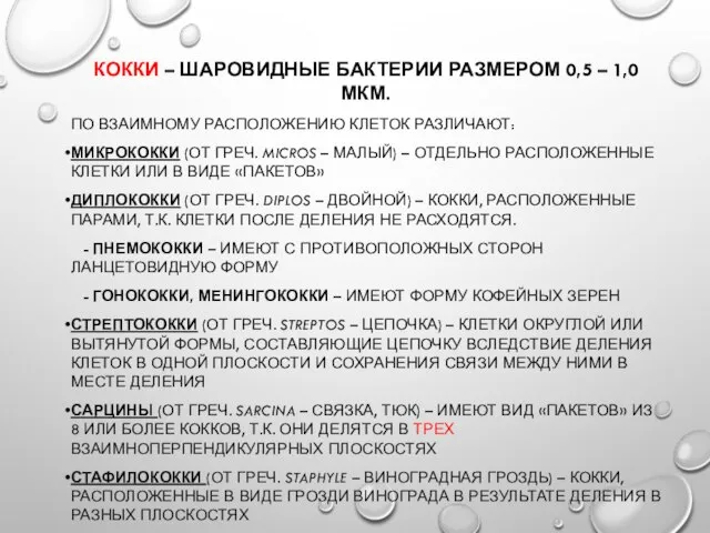 КОККИ – ШАРОВИДНЫЕ БАКТЕРИИ РАЗМЕРОМ 0,5 – 1,0 МКМ. ПО ВЗАИМНОМУ