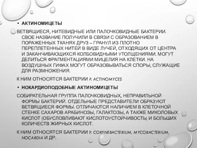 АКТИНОМИЦЕТЫ ВЕТВЯЩИЕСЯ, НИТЕВИДНЫЕ ИЛИ ПАЛОЧКОВИДНЫЕ БАКТЕРИИ. СВОЕ НАЗВАНИЕ ПОЛУЧИЛИ В СВЯЗИ