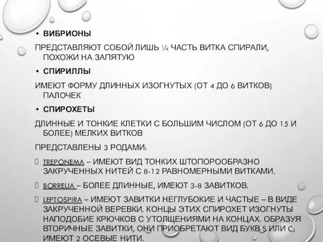 ВИБРИОНЫ ПРЕДСТАВЛЯЮТ СОБОЙ ЛИШЬ ¼ ЧАСТЬ ВИТКА СПИРАЛИ, ПОХОЖИ НА ЗАПЯТУЮ