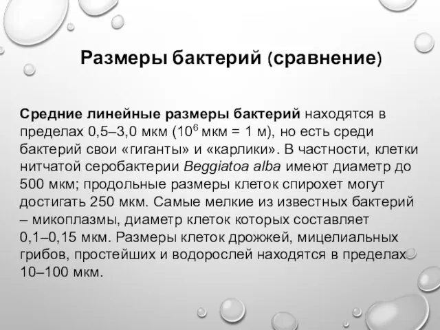 Размеры бактерий (сравнение) Средние линейные размеры бактерий находятся в пределах 0,5–3,0