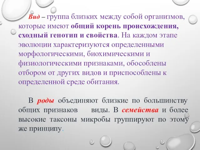 Вид – группа близких между собой организмов, которые имеют общий корень