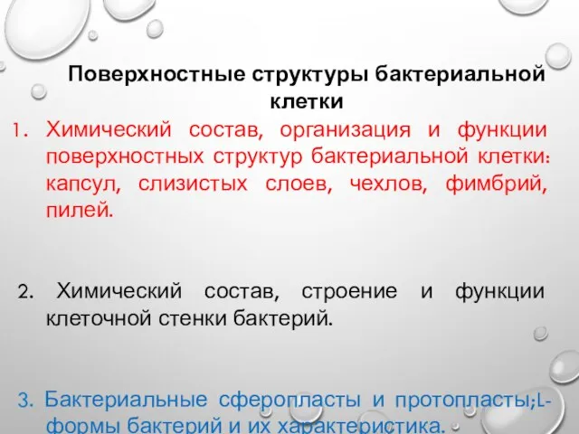 Поверхностные структуры бактериальной клетки Химический состав, организация и функции поверхностных структур