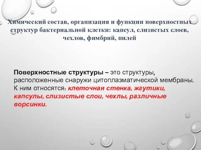 Химический состав, организация и функции поверхностных структур бактериальной клетки: капсул, слизистых