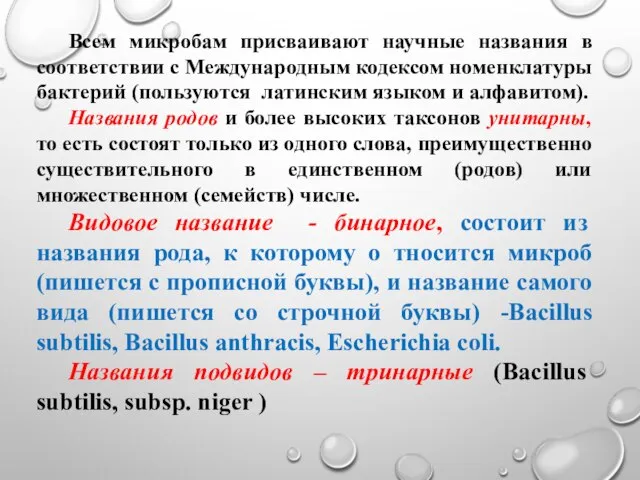 Всем микробам присваивают научные названия в соответствии с Международным кодексом номенклатуры