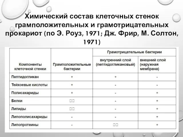 Химический состав клеточных стенок грамположительных и грамотрицательных прокариот (по Э. Роуз,