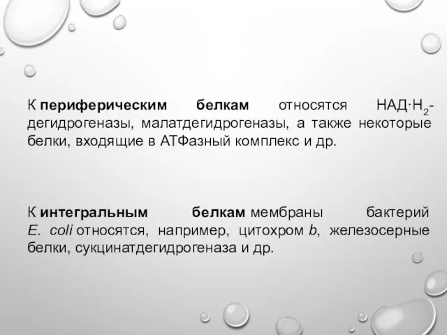 К периферическим белкам относятся НАД·Н2-дегидрогеназы, малатдегидрогеназы, а также некоторые белки, входящие