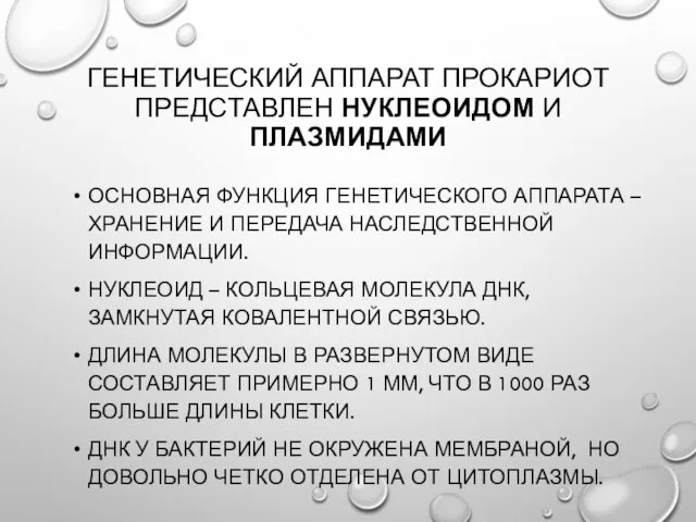 ГЕНЕТИЧЕСКИЙ АППАРАТ ПРОКАРИОТ ПРЕДСТАВЛЕН НУКЛЕОИДОМ И ПЛАЗМИДАМИ ОСНОВНАЯ ФУНКЦИЯ ГЕНЕТИЧЕСКОГО АППАРАТА