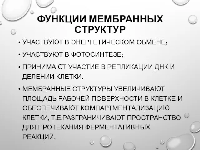 ФУНКЦИИ МЕМБРАННЫХ СТРУКТУР УЧАСТВУЮТ В ЭНЕРГЕТИЧЕСКОМ ОБМЕНЕ; УЧАСТВУЮТ В ФОТОСИНТЕЗЕ; ПРИНИМАЮТ