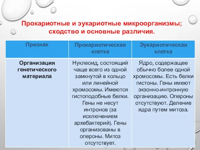 Прокариотные и эукариотные микроорганизмы; сходство и основные различия.