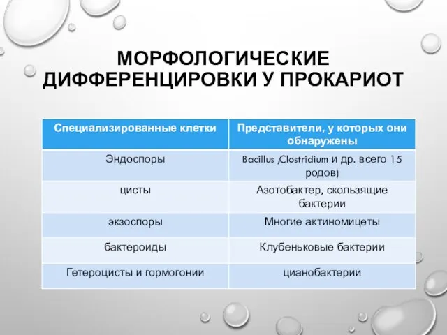 МОРФОЛОГИЧЕСКИЕ ДИФФЕРЕНЦИРОВКИ У ПРОКАРИОТ