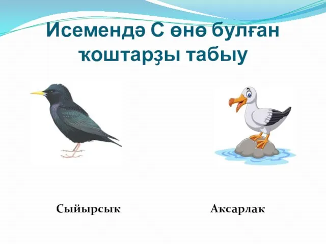 Исемендә С өнө булған ҡоштарҙы табыу Сыйырсыҡ Аҡсарлаҡ