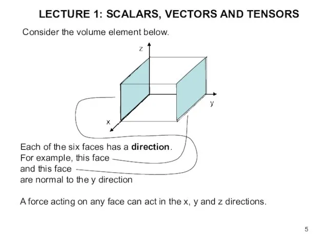 LECTURE 1: SCALARS, VECTORS AND TENSORS Consider the volume element below.