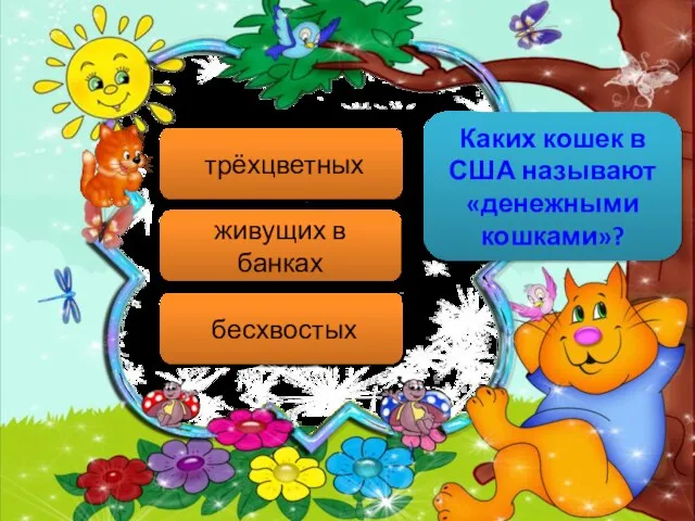 Каких кошек в США называют «денежными кошками»? трёхцветных живущих в банках бесхвостых