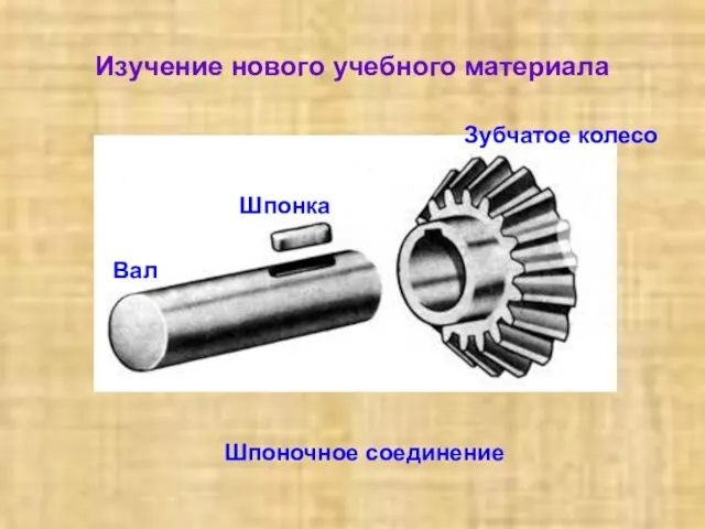 Изучение нового учебного материала Шпоночное соединение Вал Шпонка Зубчатое колесо