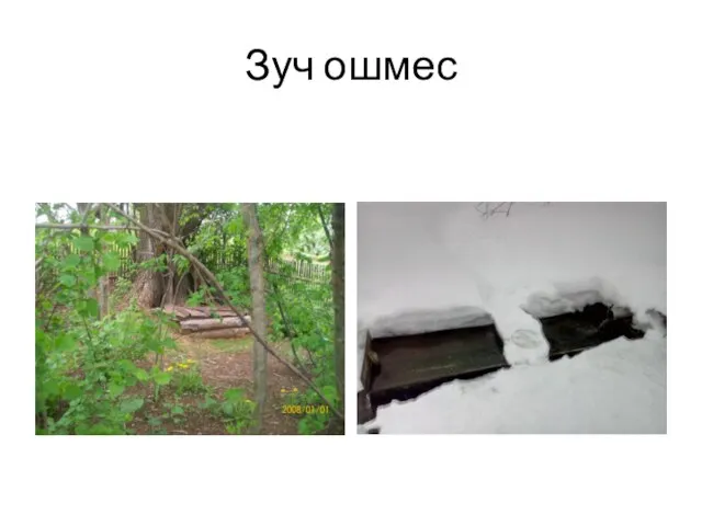 Зуч ошмес