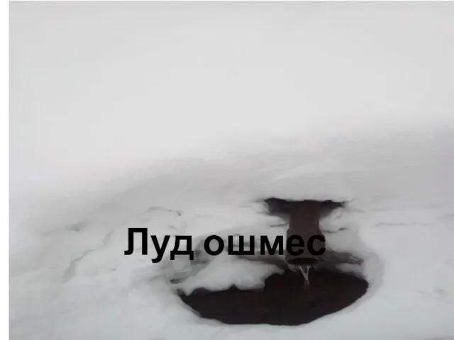 Луд ошмес