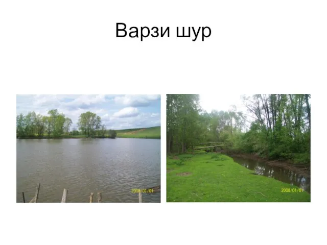 Варзи шур