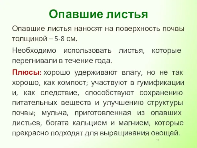 Опавшие листья наносят на поверхность почвы толщиной – 5-8 см. Необходимо