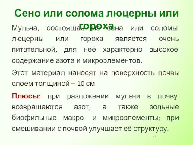 Мульча, состоящая из сена или соломы люцерны или гороха является очень