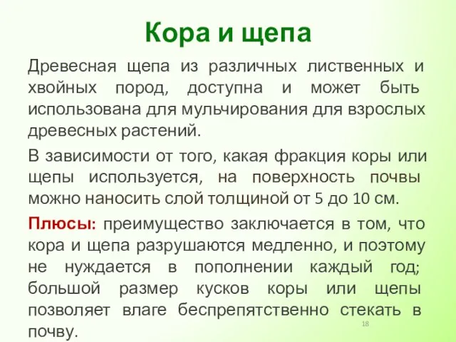 Древесная щепа из различных лиственных и хвойных пород, доступна и может