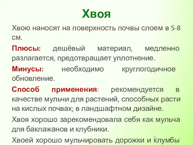 Хвою наносят на поверхность почвы слоем в 5-8 см. Плюсы: дешёвый