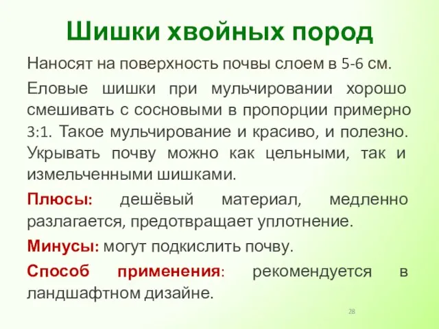 Наносят на поверхность почвы слоем в 5-6 см. Еловые шишки при