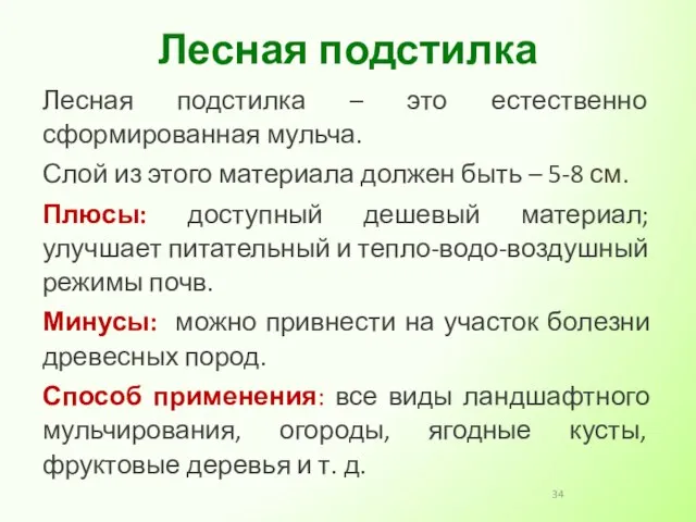 Лесная подстилка – это естественно сформированная мульча. Слой из этого материала