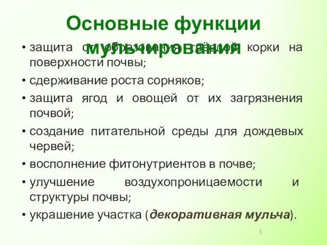 защита от образования твёрдой корки на поверхности почвы; сдерживание роста сорняков;