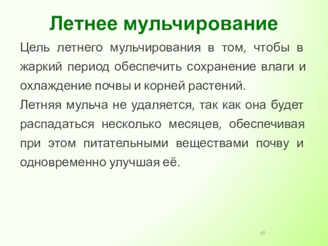 Цель летнего мульчирования в том, чтобы в жаркий период обеспечить сохранение