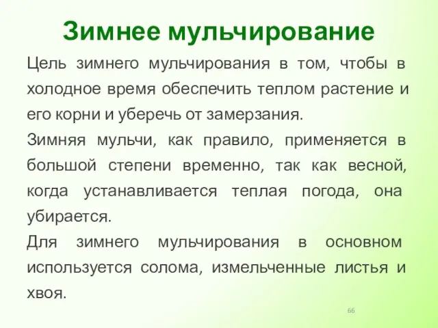 Цель зимнего мульчирования в том, чтобы в холодное время обеспечить теплом