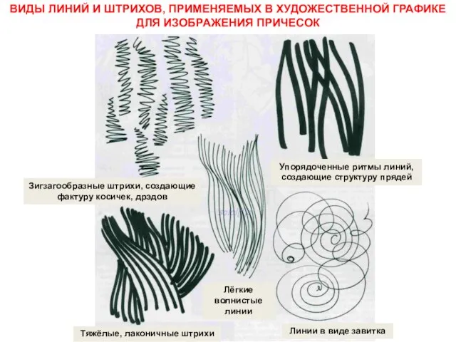 ВИДЫ ЛИНИЙ И ШТРИХОВ, ПРИМЕНЯЕМЫХ В ХУДОЖЕСТВЕННОЙ ГРАФИКЕ ДЛЯ ИЗОБРАЖЕНИЯ ПРИЧЕСОК