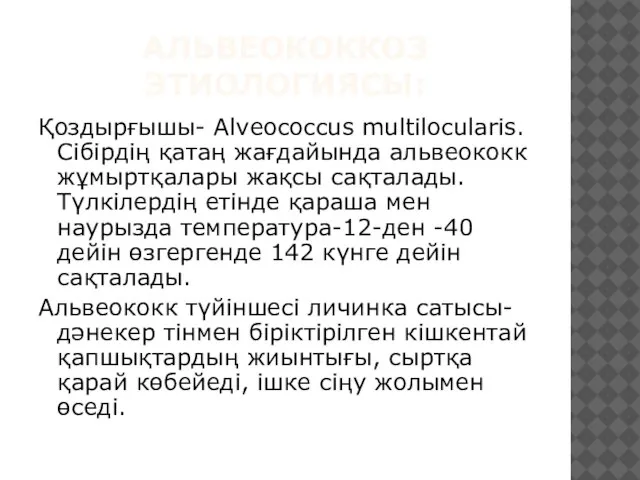 АЛЬВЕОКОККОЗ ЭТИОЛОГИЯСЫ: Қоздырғышы- Alveococcus multilocularis. Сібірдің қатаң жағдайында альвеококк жұмыртқалары жақсы