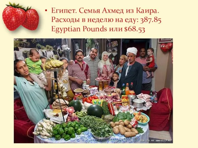 Египет. Семья Ахмед из Каира. Расходы в неделю на еду: 387.85 Egyptian Pounds или $68.53