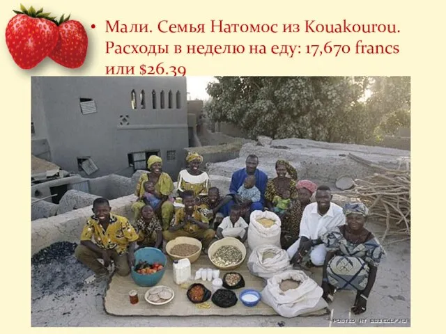 Мали. Семья Натомос из Kouakourou. Расходы в неделю на еду: 17,670 francs или $26.39