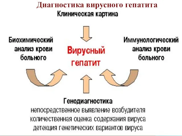 Диагностика вирусного гепатита