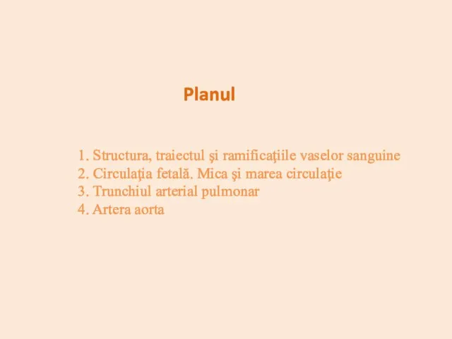 1. Structura, traiectul şi ramificaţiile vaselor sanguine 2. Circulaţia fetală. Mica