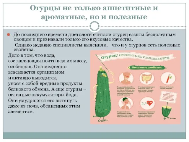 Огурцы не только аппетитные и ароматные, но и полезные До последнего