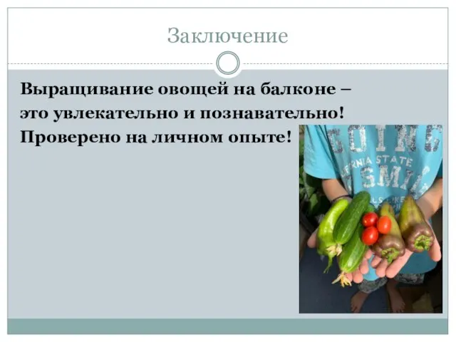 Заключение Выращивание овощей на балконе – это увлекательно и познавательно! Проверено на личном опыте!