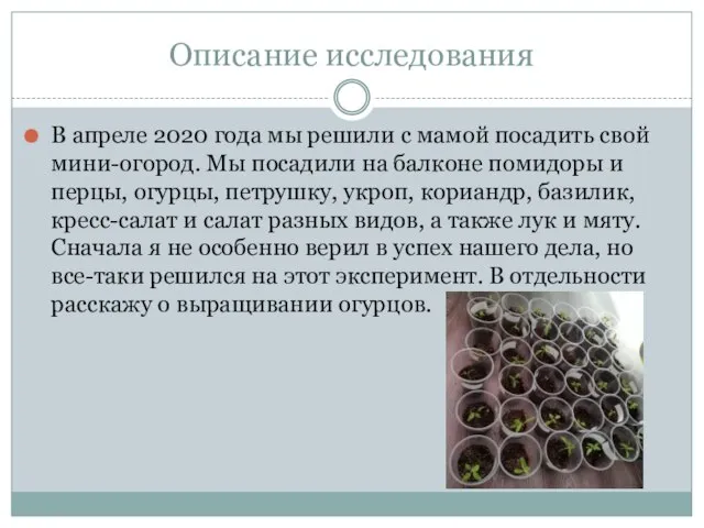 Описание исследования В апреле 2020 года мы решили с мамой посадить