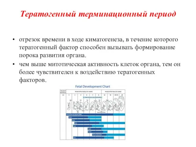 Тератогенный терминационный период отрезок времени в ходе киматогенеза, в течение которого