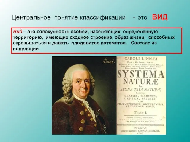 Центральное понятие классификации - это ВИД Вид – это совокупность особей,